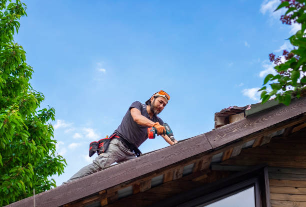 Best Roof Ventilation Installation  in Washoe Valley, NV